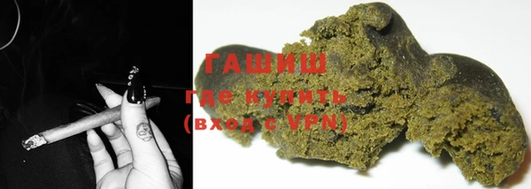индика Краснослободск