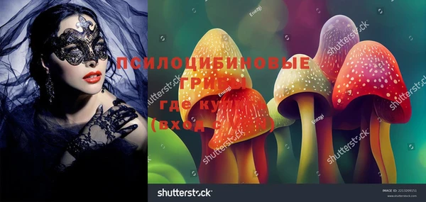спайс Кукмор