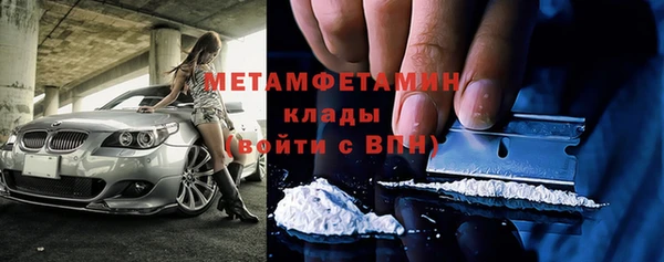 индика Краснослободск
