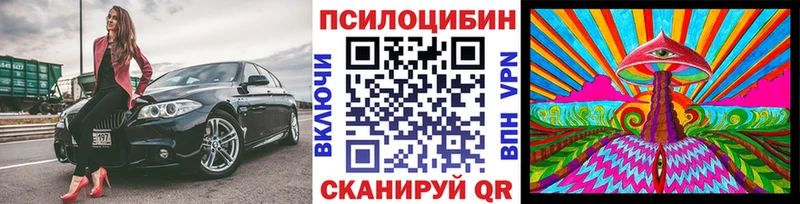 Псилоцибиновые грибы ЛСД  kraken сайт  Кодинск  хочу  